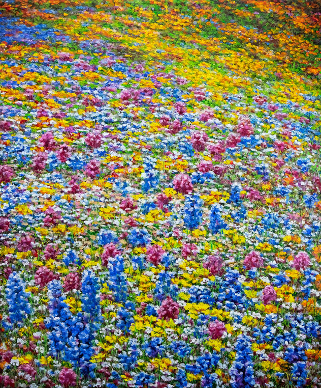 Anastasia Woron:"Un campo de flores"-Óleo Original Firmado (50x60cm.)2023