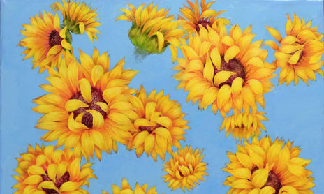 Girasoles