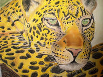 Leopardo pastel 2011