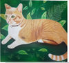 Gato Usa