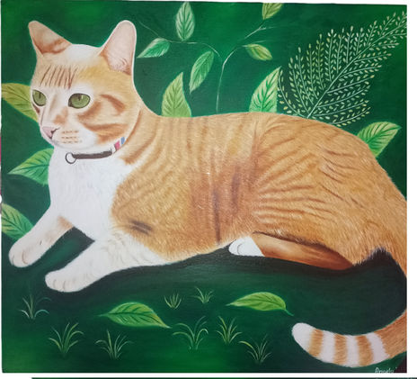 Gato Usa