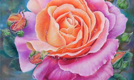 Rosas