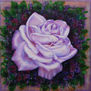 Anastasia Woron: " Retrato De Una Rosa" - Óleo Original Firmado (30x30 cm.) 2017