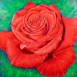 Rosas thumbnail 1
