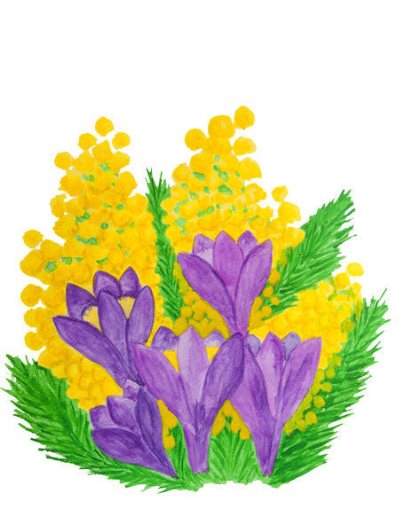 Purple crocuses...
