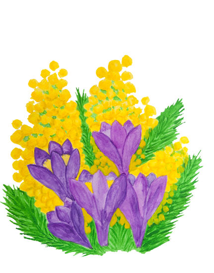 Purple crocuses with mimosa Watercolour Paper Floral Painting