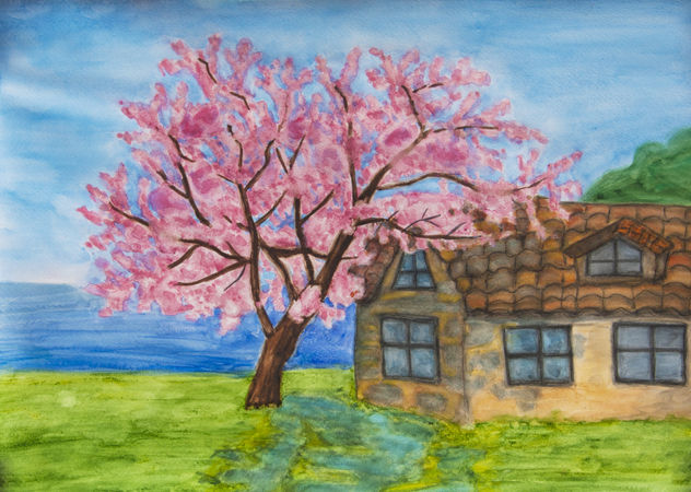 House with cercis redbud tree on sea shore (House in Bulgaria)