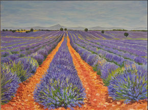 Campos de lavanda