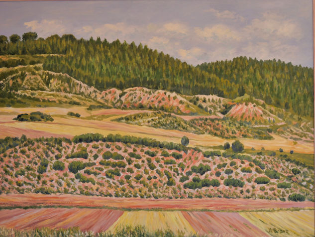 Campos del Tajuña Óleo Tabla Paisaje