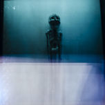 Homo Sum thumbnail 1
