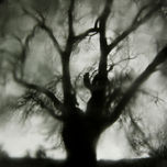 Uh Árbol Crece en Silencio thumbnail 1