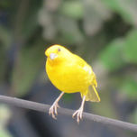 Fotografia thumbnail 2