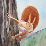animales thumbnail 2