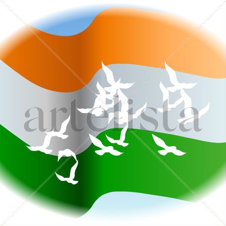 Indian National Flag