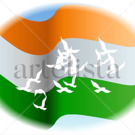 Indian National Flag 