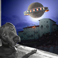 obra