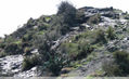 EFECTOS
