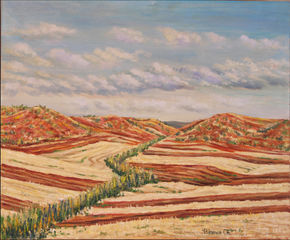Verano en campos de...