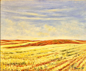 Verano en campos de...