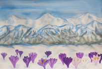 Crocuses in snow hills