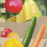 "Minimalismo Vegetal" thumbnail 1