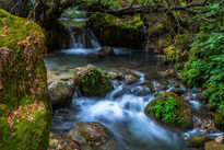 Agua y Paz