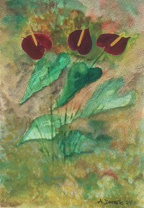 Anturios en el jardín