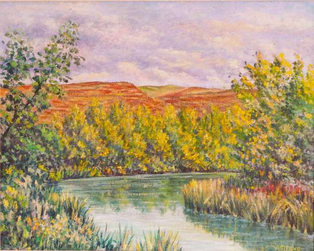 "Atardecer en el rio Henares" Oil Canvas Landscaping