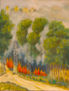 "Emergencia en el Henares" Ribera rio H.