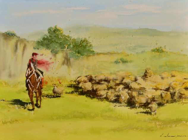 Gaucho patagónico arriando Ovejas Acuarela Papel Paisaje