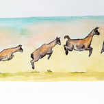 Fauna Patagónica thumbnail 1