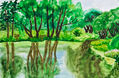 Willow trees near lake with reflection in water