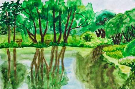 Willow trees near...