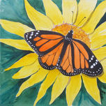 insectos thumbnail 2