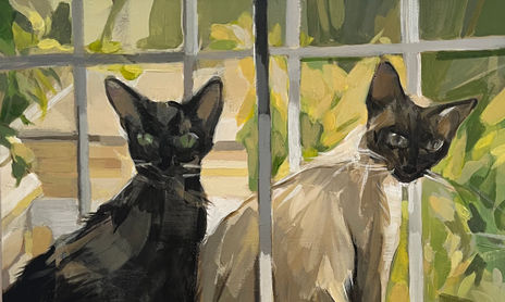 Animales