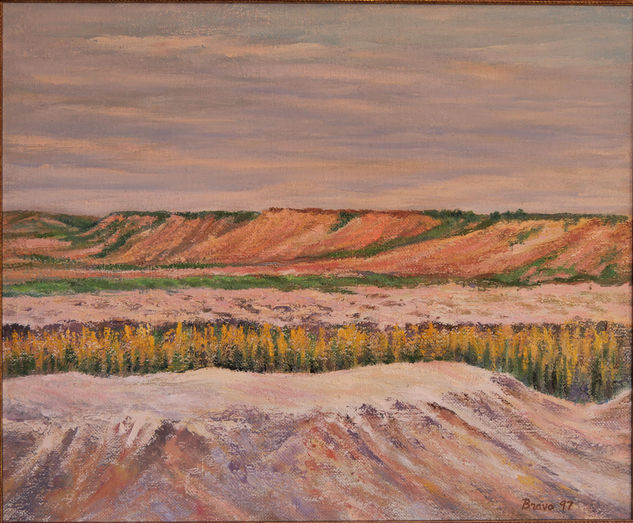 "Desierto Bardenas Reales" Oil Canvas Landscaping