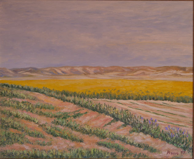 "Desierto y Cultivo" Bardenas Reales Oil Canvas Landscaping