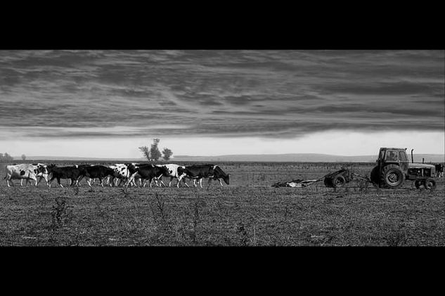 Cortejo fúnebre Naturaleza Blanco y Negro (Digital)