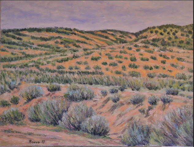 "Desierto con matojos"  (Bardenas R.) Oil Canvas Landscaping