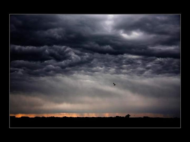 Tormenta Naturaleza Color (Digital)