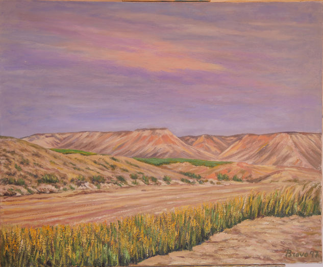 "Desierto con zonas de cultivos" Bardenas Oil Canvas Landscaping