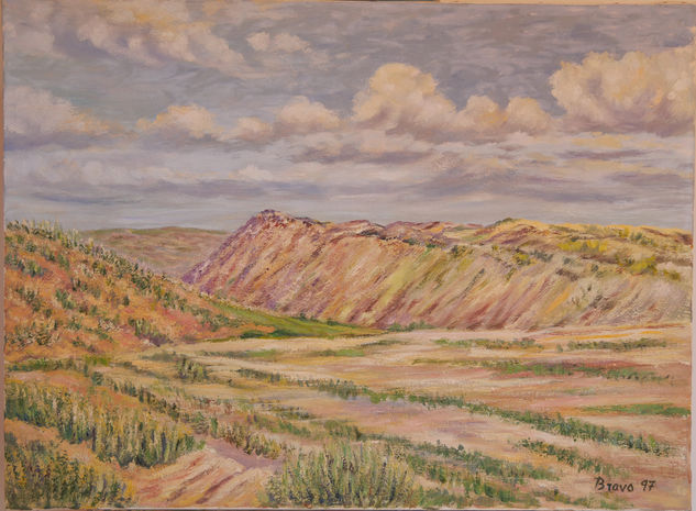 " Desierto con nubes" Bardenas Reales Oil Canvas Landscaping