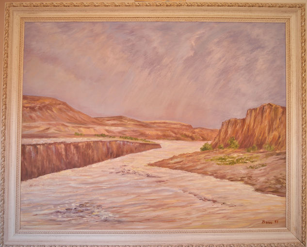 "Después de la lluvia"  en las Bardenas Oil Panel Landscaping