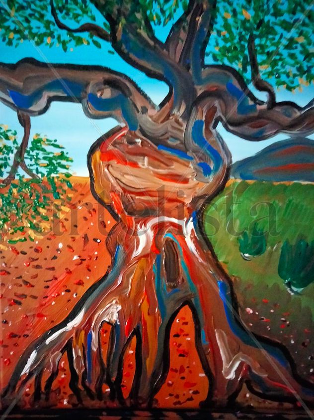 Olivera milenaria3