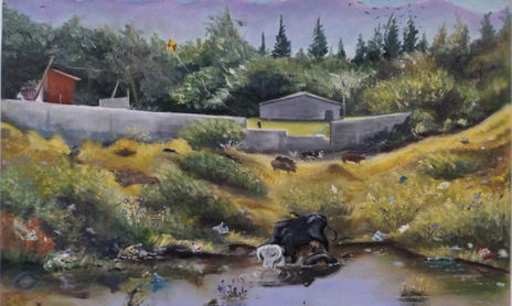 Paisajes mágicos