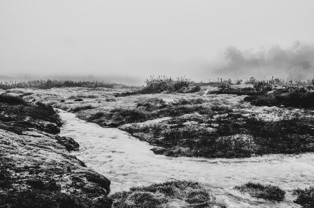 Rio memorias Naturaleza Blanco y Negro (Digital)