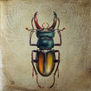 Khepri, The Scarab....