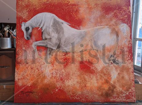 Caballo arabe