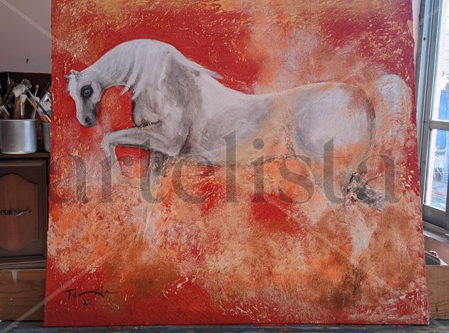 caballo arabe Oil Canvas Animals