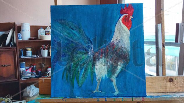 gallo azul